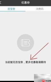 百宝券与百赚分查询指南