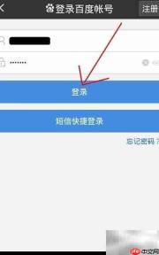 百宝券与百赚分查询指南