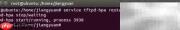 Ubuntu TFTP安装配置指南