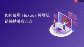 如何使用 Flexbox 将导航链接精准右对齐