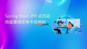 Spring Boot JPA 动态启用或禁用实体字段映射
