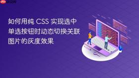 如何用纯 CSS 实现选中单选按钮时动态切换关联图片的灰度效果