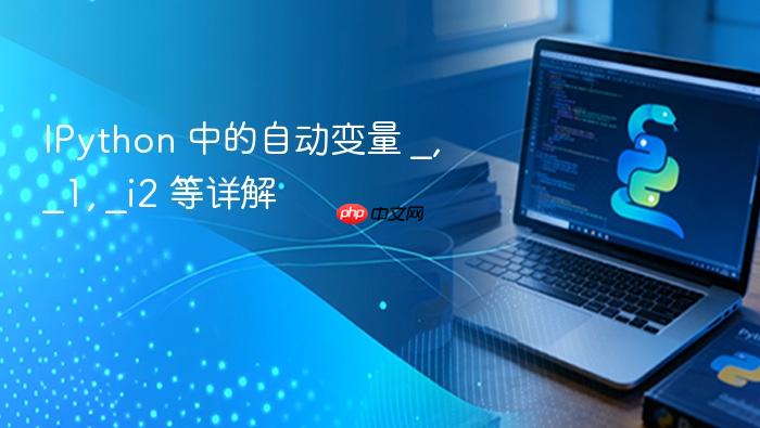 IPython 中的自动变量 _, _1, _i2 等详解
