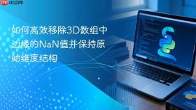 如何高效移除3D数组中边缘的NaN值并保持原始维度结构
