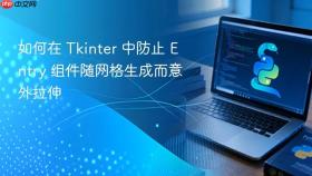 如何在 Tkinter 中防止 Entry 组件随网格生成而意外拉伸
