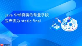 Java 中单例类的常量字段应声明为 static final