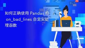 如何正确使用 Pandas 的 on_bad_lines 自定义处理函数