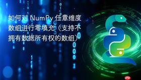 如何对 NumPy 任意维度数组进行零填充（支持不拥有数据所有权的数组）
