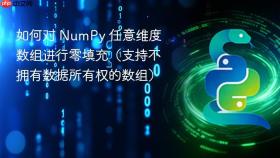 如何对 NumPy 任意维度数组进行零填充（支持不拥有数据所有权的数组）