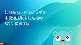 如何在 Go 的 Echo 框架中灵活提取未知结构的 JSON 请求字段