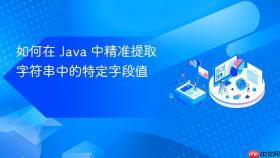 如何在 Java 中精准提取字符串中的特定字段值