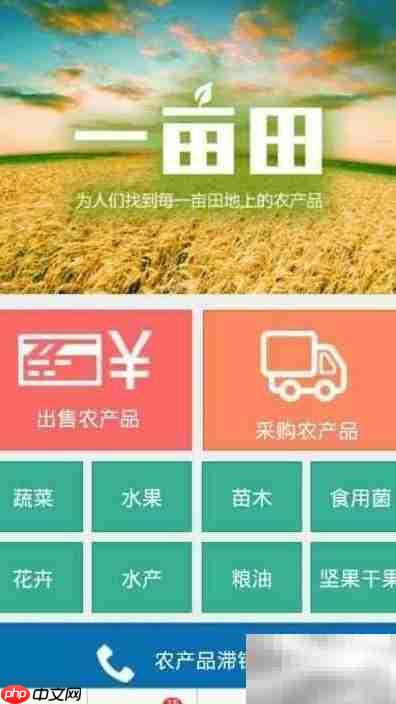 一亩田直达号买卖指南