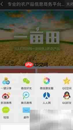 一亩田直达号买卖指南