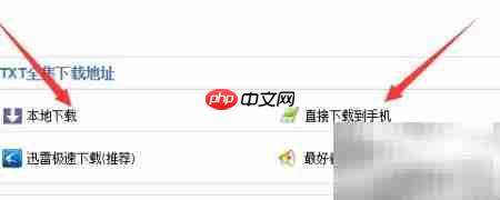 电子小说下载方法指南