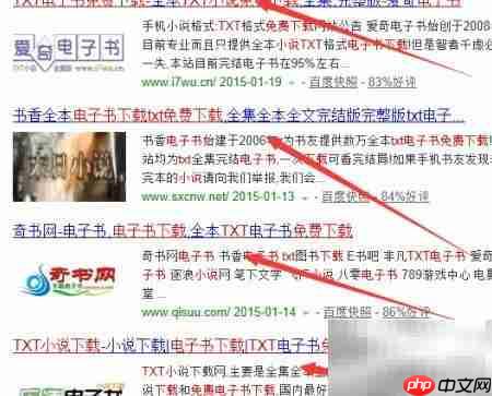 电子小说下载方法指南