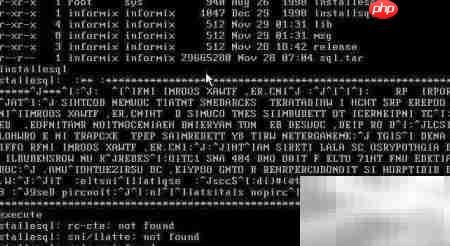 Informix字段设为空方法