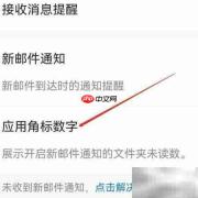 网易邮箱大师角标查看方法