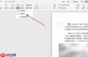 Word中文翻译成西班牙语方法