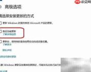 如何阻止Windows自动更新