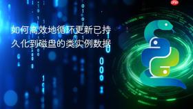 如何高效地循环更新已持久化到磁盘的类实例数据