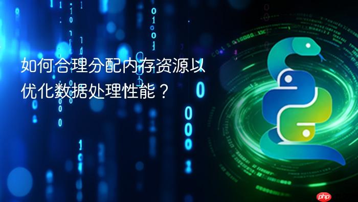 如何合理分配内存资源以优化数据处理性能?