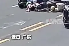 文章配图-1