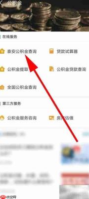泰安公积金个人账户查询指南