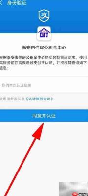 泰安公积金个人账户查询指南