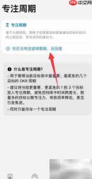 Vision软件专注周期设置指南