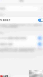 启用PDF Expert数据保护