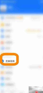 支付宝信用管理入口指南