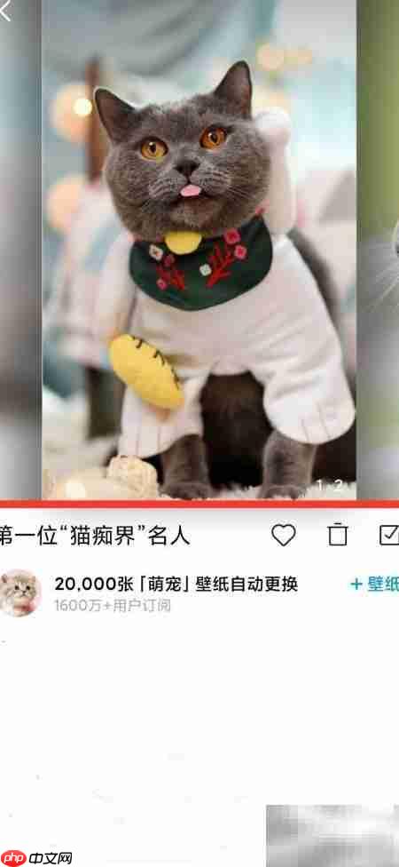 小米画报同步设桌面锁屏壁纸