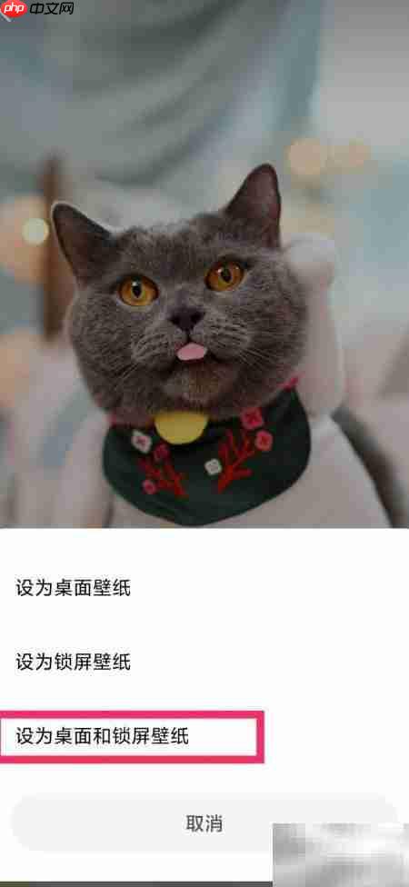 小米画报同步设桌面锁屏壁纸