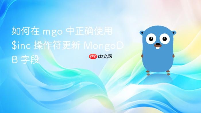 如何在 mgo 中正确使用 $inc 操作符更新 MongoDB 字段