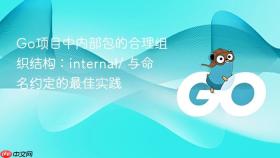 Go项目中内部包的合理组织结构:internal/ 与命名约定的最佳实践