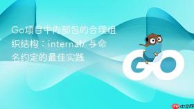 Go项目中内部包的合理组织结构：internal/ 与命名约定的最佳实践