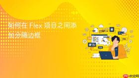 如何在 Flex 项目之间添加分隔边框