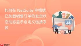 如何在 NetSuite 中根据已加载销售订单的发货状态动态显示自定义链接字段