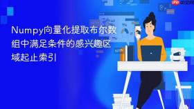 Numpy向量化提取布尔数组中满足条件的感兴趣区域起止索引
