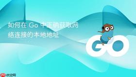 如何在 Go 中正确获取网络连接的本地地址