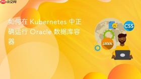 如何在 Kubernetes 中正确运行 Oracle 数据库容器