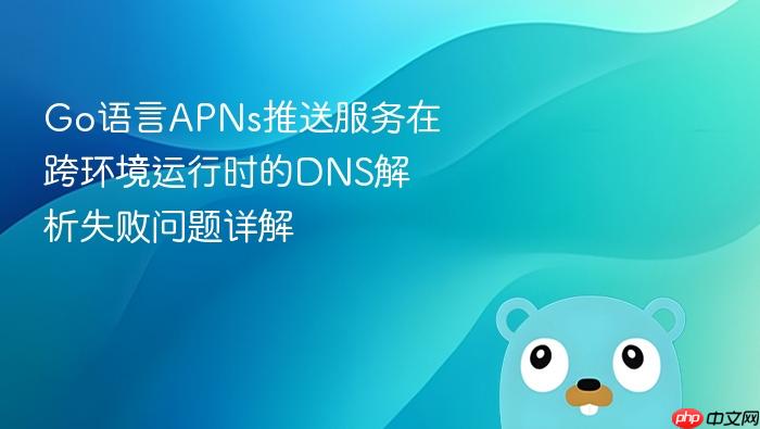Go语言APNs推送服务在跨环境运行时的DNS解析失败问题详解