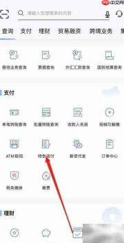 浦发企业版特色收付查看指南