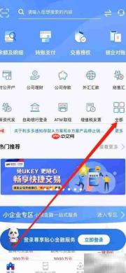 浦发企业版特色收付查看指南