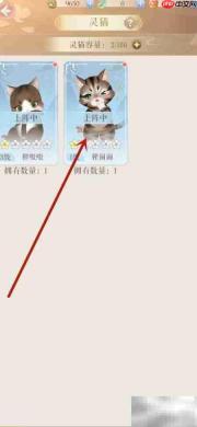 灵猫传突破技巧指南