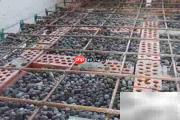 卫生间架空层防水施工方法