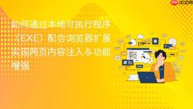 如何通过本地可执行程序(EXE)配合浏览器扩展实现网页内容注入与功能增强