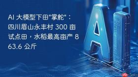 ai 大模型下田