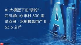 AI 大模型下田