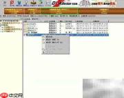 Disk Genius恢复丢失文件